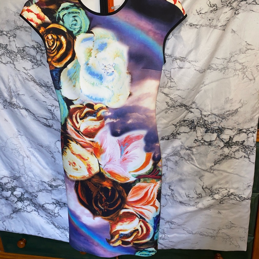 Clover Canyon dress